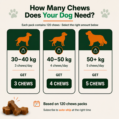 The Big Paw | Hip & Joint Chews