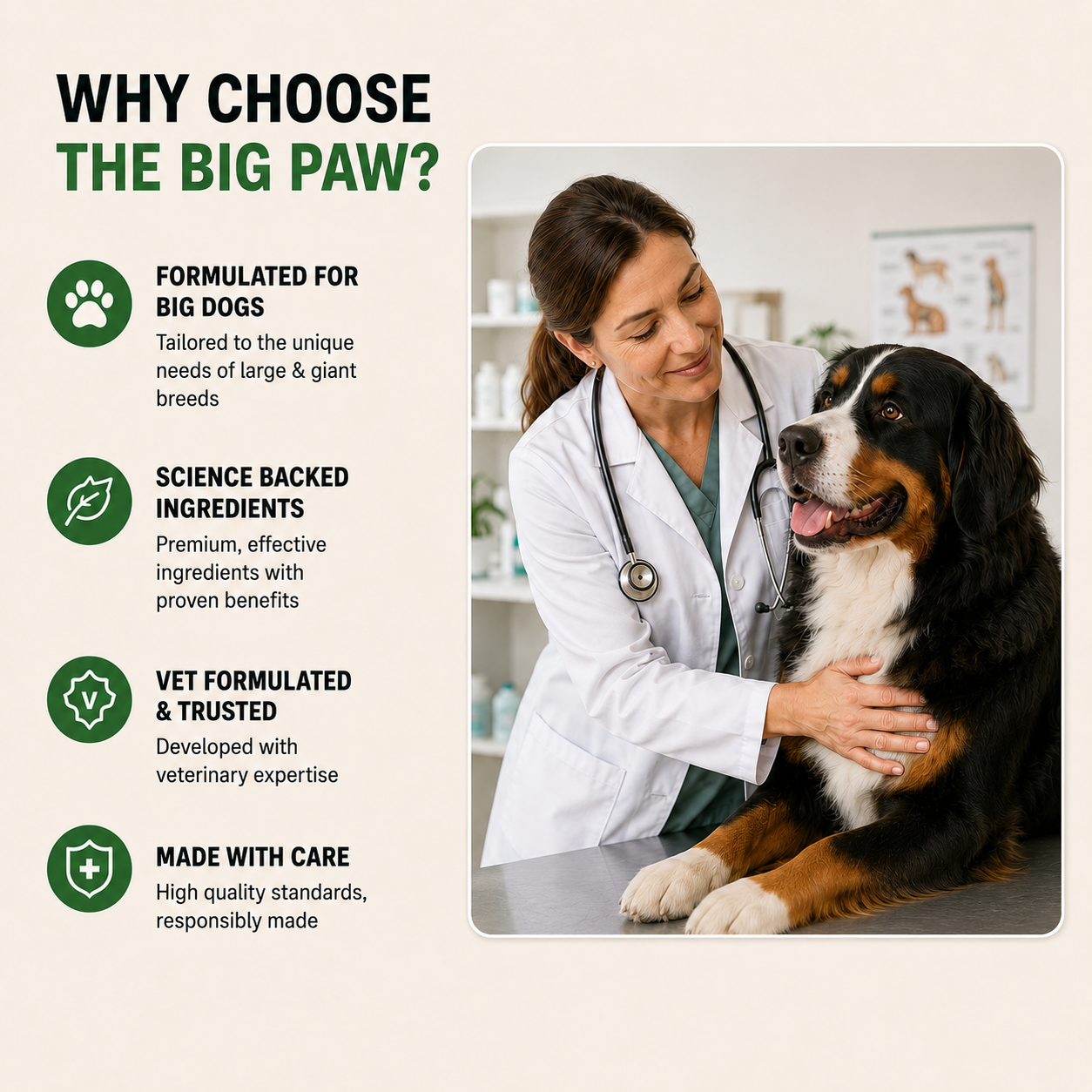 The Big Paw | Hip & Joint Chews