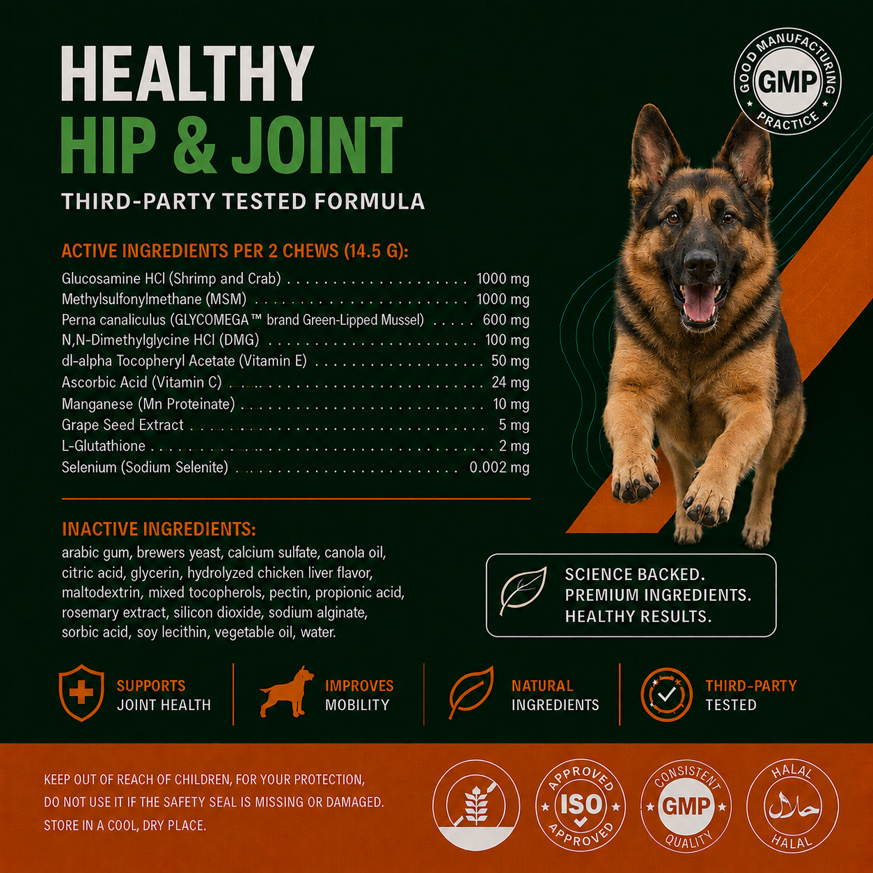 The Big Paw | Hip & Joint Chews